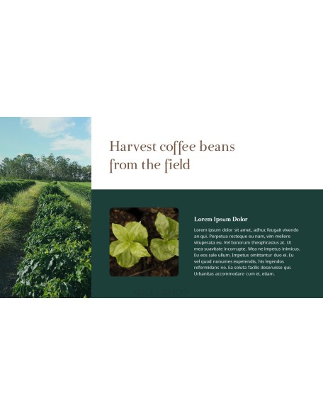 Coffee Plantation presentation slides ppt