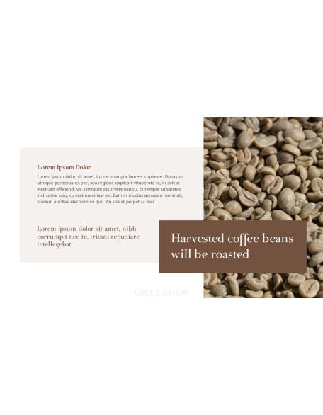 Coffee Plantation presentation slides ppt