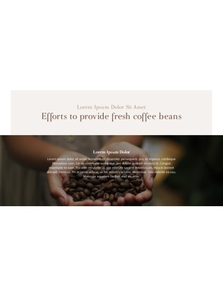 Coffee Plantation presentation slides ppt