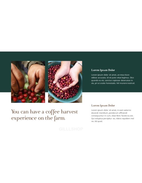 Coffee Plantation presentation slides ppt