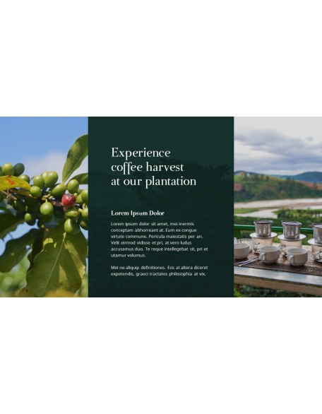 Coffee Plantation presentation slides ppt