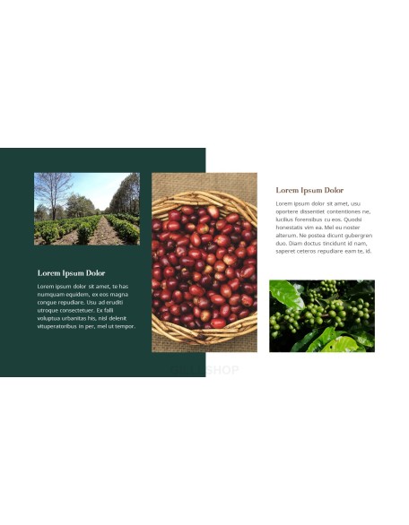 Coffee Plantation presentation slides ppt