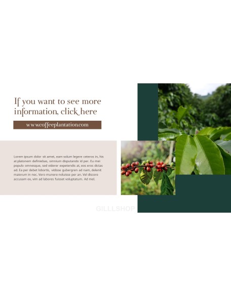 Coffee Plantation presentation slides ppt