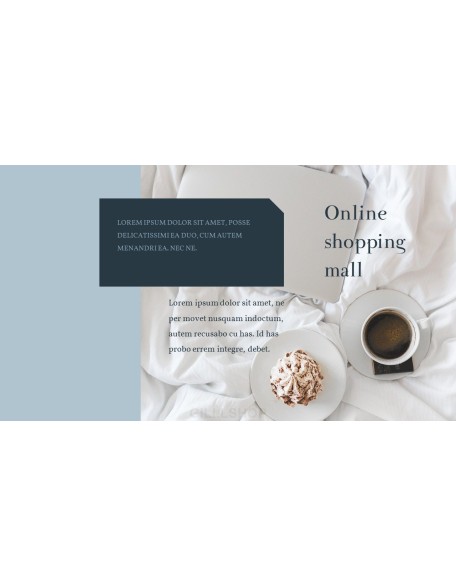 Online Shopping mall Proposal Presentation Templates