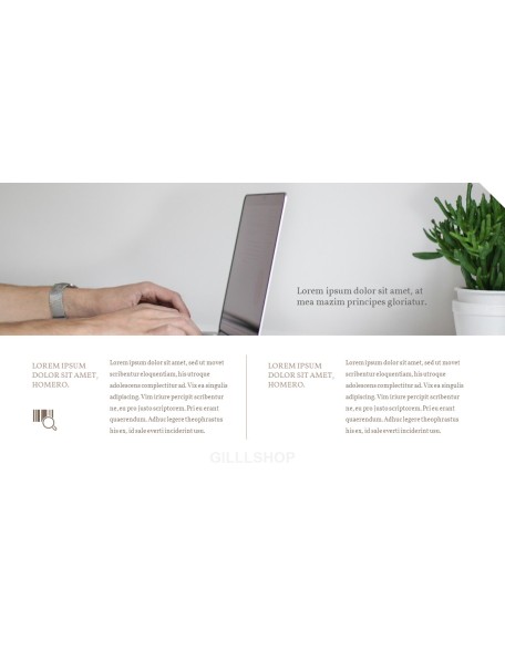 Online Shopping mall Proposal Presentation Templates