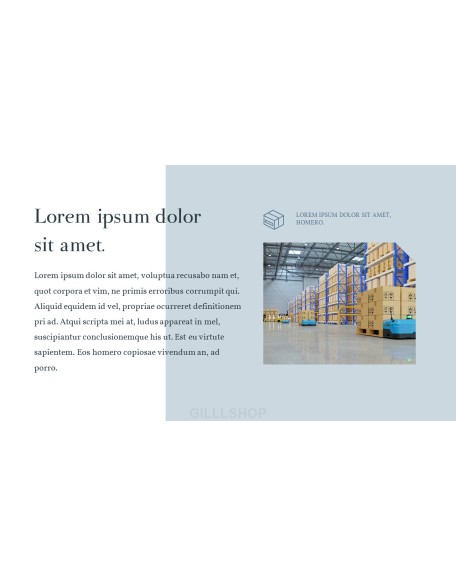Online Shopping mall Proposal Presentation Templates