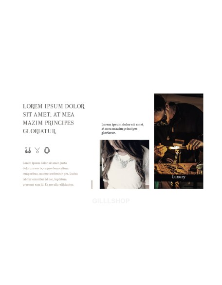 Online Shopping mall Proposal Presentation Templates