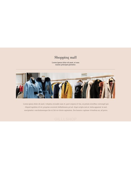 Online Shopping mall Proposal Presentation Templates