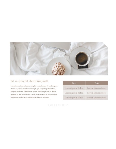 Online Shopping mall Proposal Presentation Templates