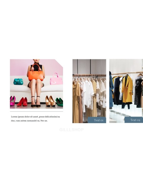 Online Shopping mall Proposal Presentation Templates