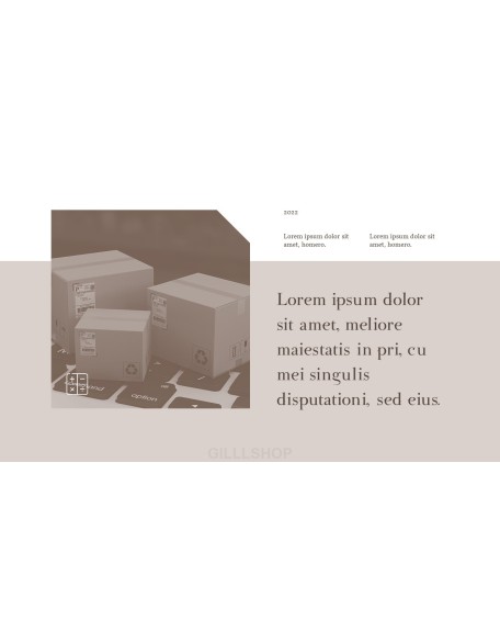 Online Shopping mall Proposal Presentation Templates