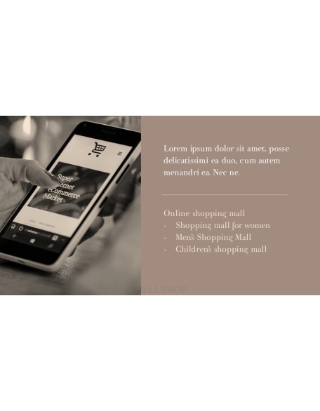 Online Shopping mall Proposal Presentation Templates