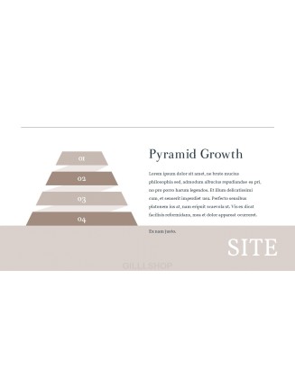 Online Shopping mall Proposal Presentation Templates