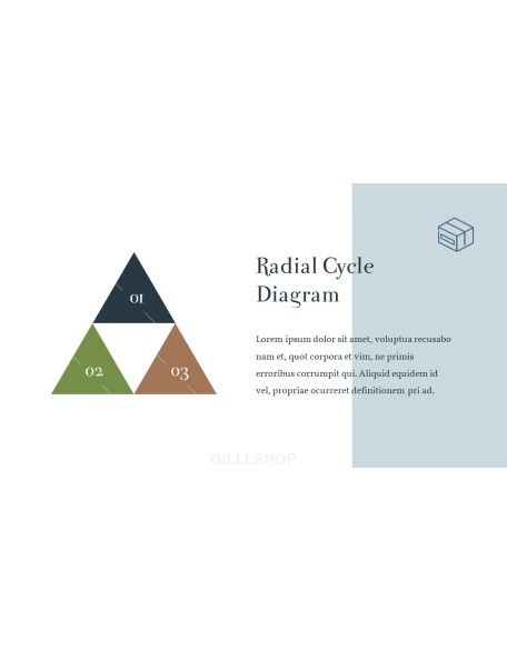 Online Shopping mall Proposal Presentation Templates
