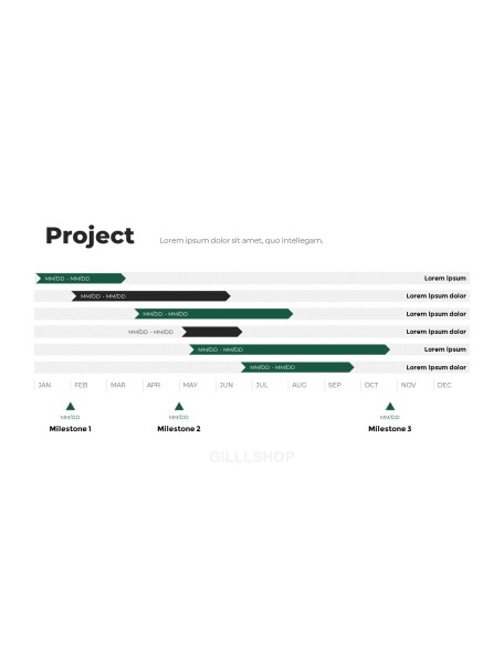 Business Project Minimal presentation slide design