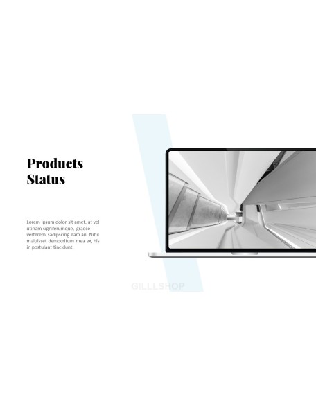 Business Presentation Simple Business Presentation Examples