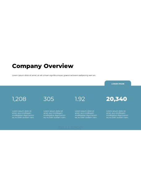 About Our Great Company Simple Theme Presentation Templates