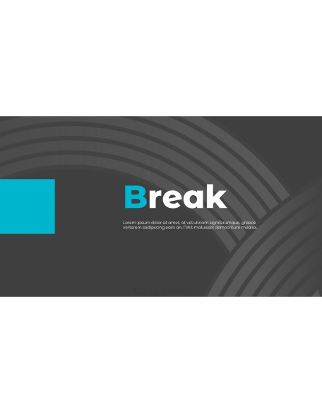 Company Introduction PowerPoint Presentations
