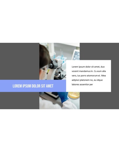 Science Presentation PPT
