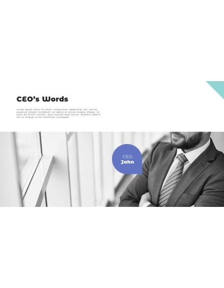 Business Proposal Business Strategy PPT