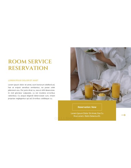 Hotel Service PPT Templates