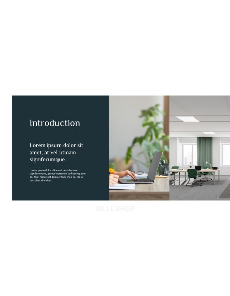Business Overview idea powerpoint