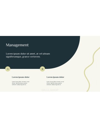Business Overview idea powerpoint