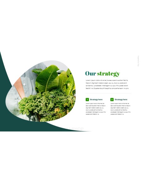 World Vegetarian Day brochure design template