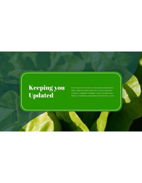 World Vegetarian Day brochure design template