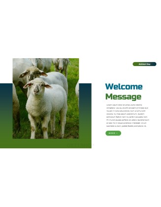 World Animal Day deck templates