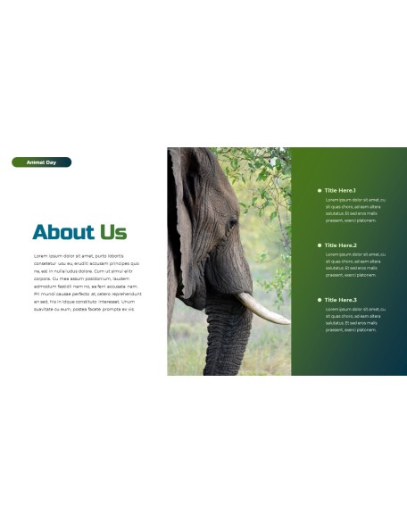 World Animal Day deck templates