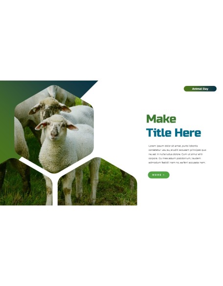 World Animal Day deck templates