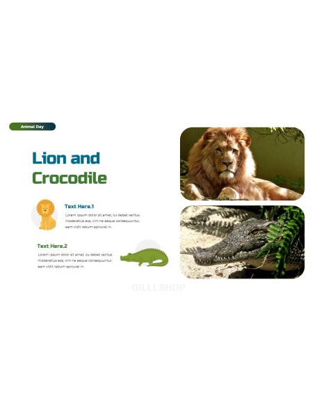 World Animal Day deck templates