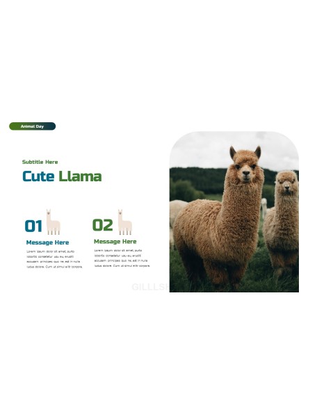 World Animal Day deck templates