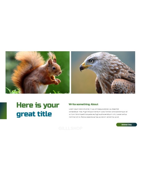 World Animal Day deck templates