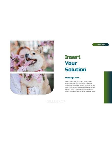 World Animal Day deck templates