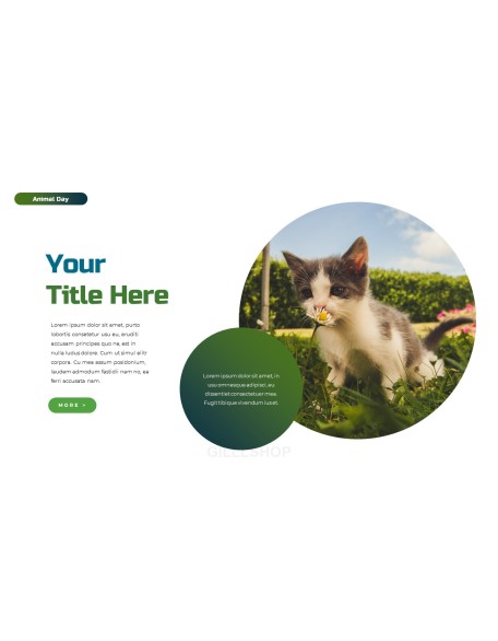 World Animal Day deck templates