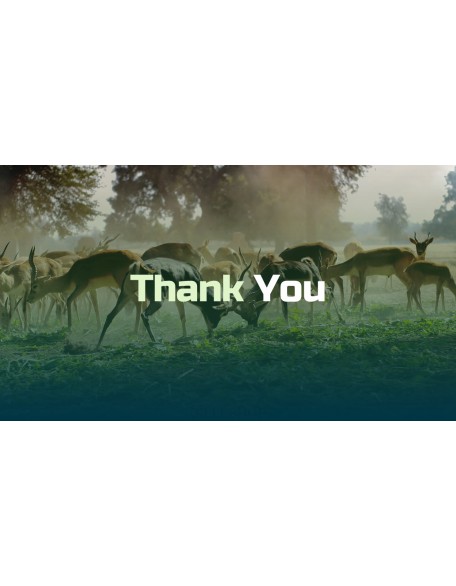 World Animal Day deck templates
