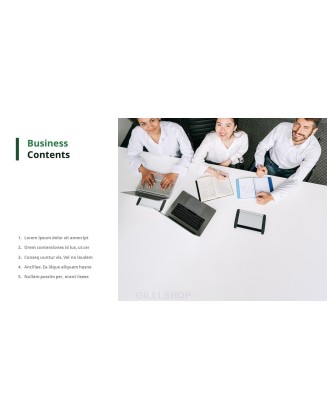 Effective Business Introduction Action plan PPT