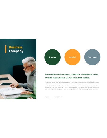 Effective Business Introduction Action plan PPT