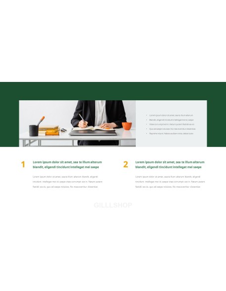 Effective Business Introduction Action plan PPT