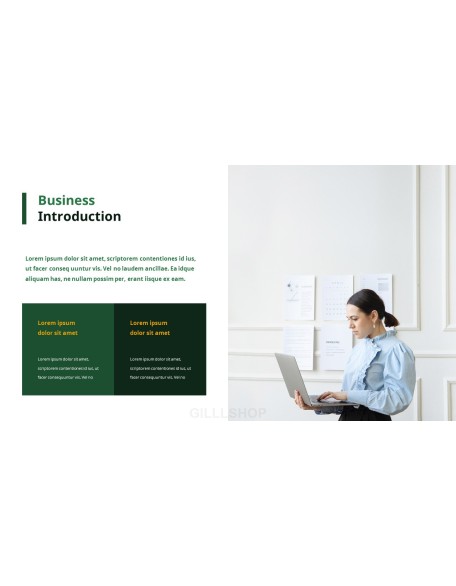 Effective Business Introduction Action plan PPT