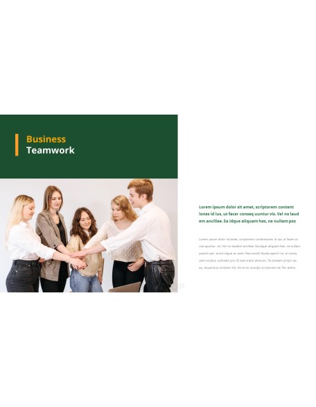 Effective Business Introduction Action plan PPT