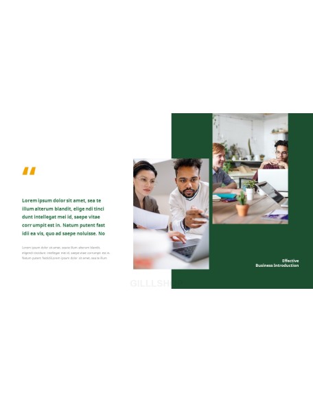 Effective Business Introduction Action plan PPT