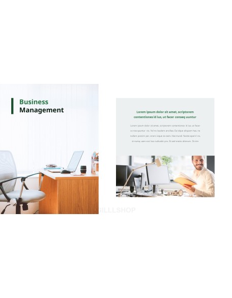 Effective Business Introduction Action plan PPT