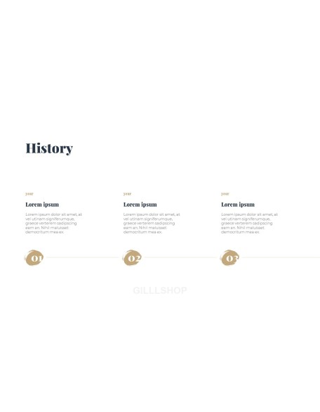 Business Project Flow portfolio powerpoint