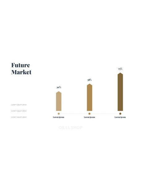 Business Project Flow portfolio powerpoint