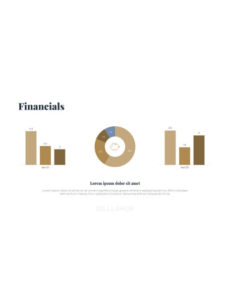 Business Project Flow portfolio powerpoint
