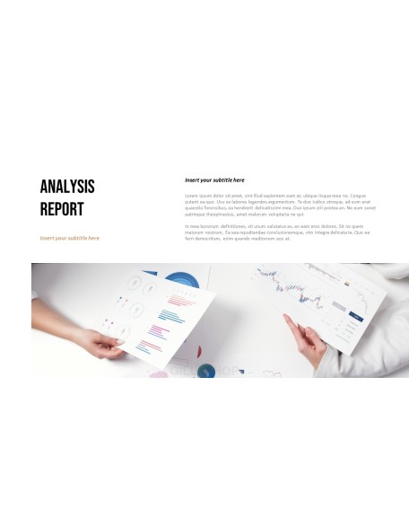 Business Analysis Report PPT Templates Design