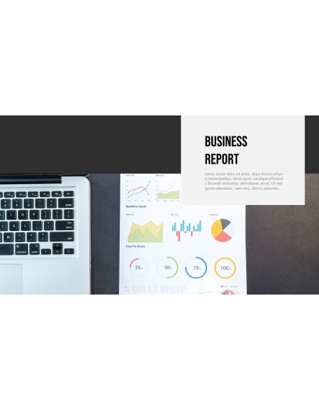 Business Analysis Report PPT Templates Design